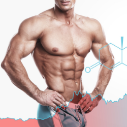 Allenamento per hardgainer ed ectomorfi